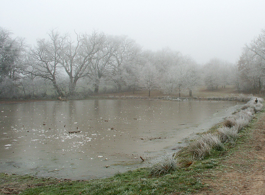 [frozen+etang.jpg]