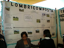 Lombricomposta