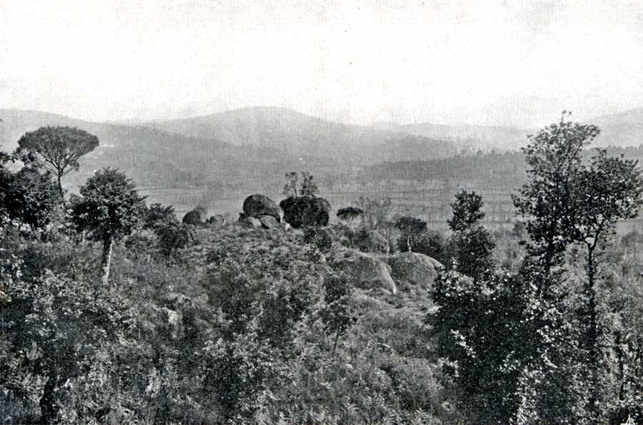 [ILModerna189Web.jpg]