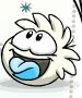 Say Hi To Snowy