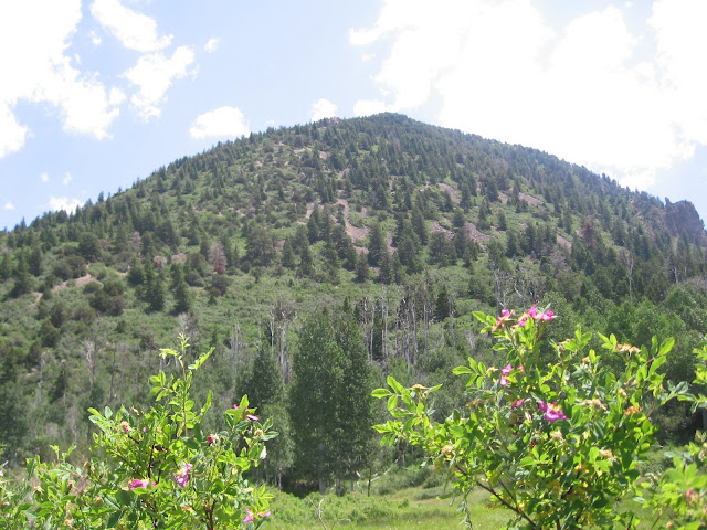 Four Corners Hikes-Cedar Mesa in Utah: Robertson Pasture Trail-Blue ...