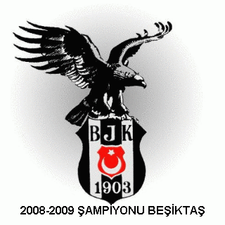 [bjk-nick-wallpapper-sampiyon-carsis.jpg]