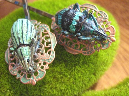 Real insect jewelry Clearance
