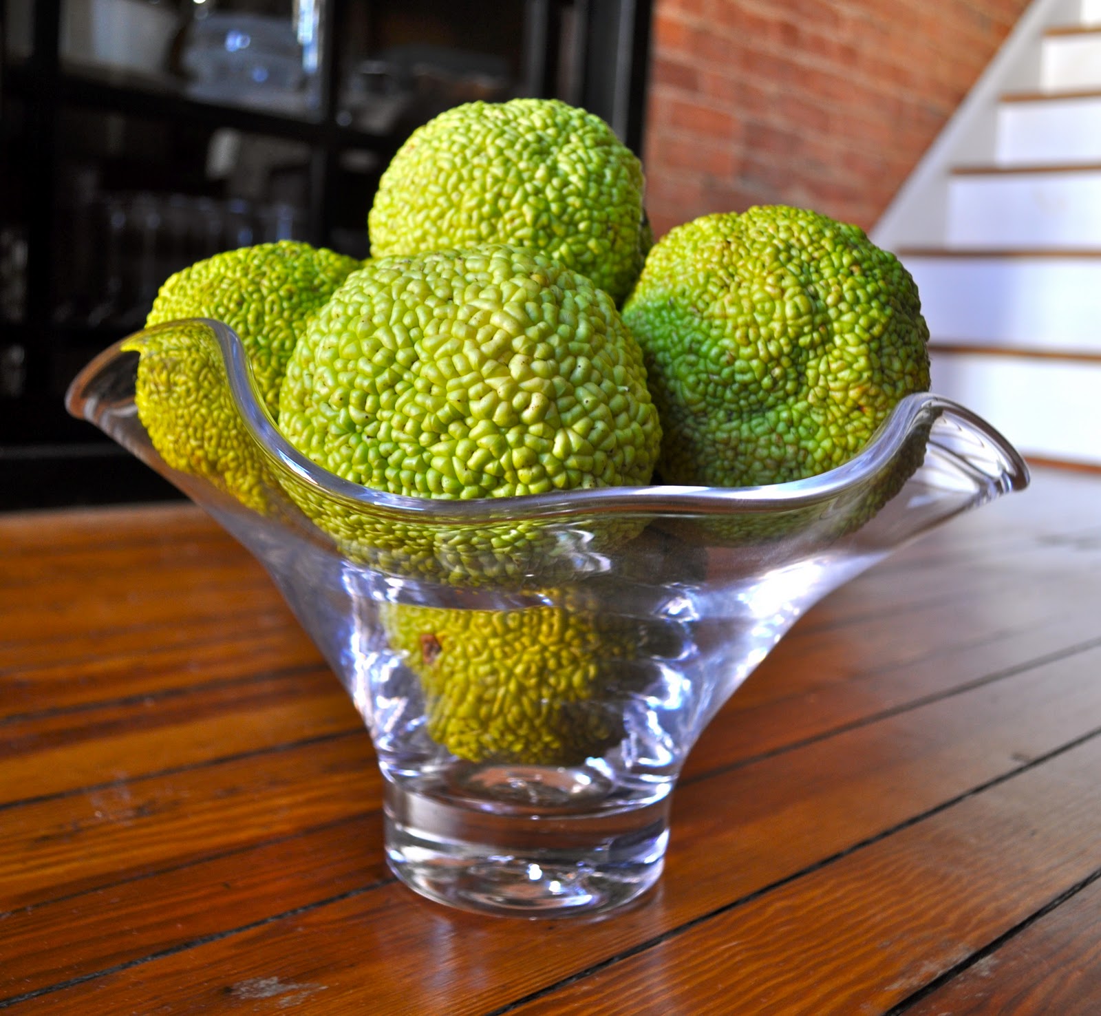 The Lovely Life Daily Osage Oranges