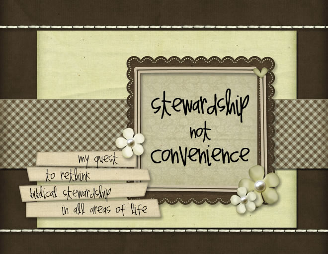 Stewardship Not Convenience