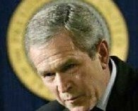 [bush+la+conversion.jpg]