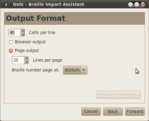 [Dots+-+Braille+Import+Assistant-Output-Format.png]