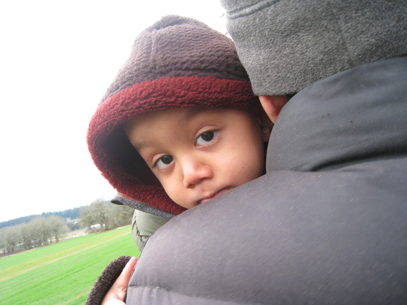 [over-dads-shoulder.jpg]