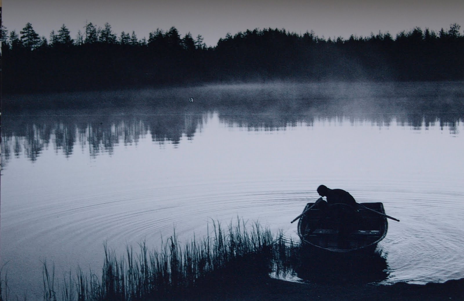 Brightens up in the Evening: Misty lake