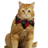 Pet Cat Wallpapers for christmas