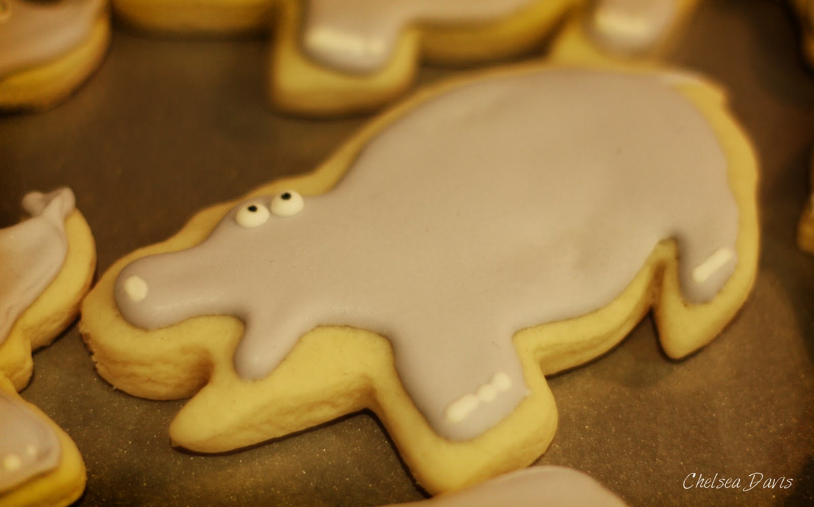 SSH Recipes Frosted Animal Cookies