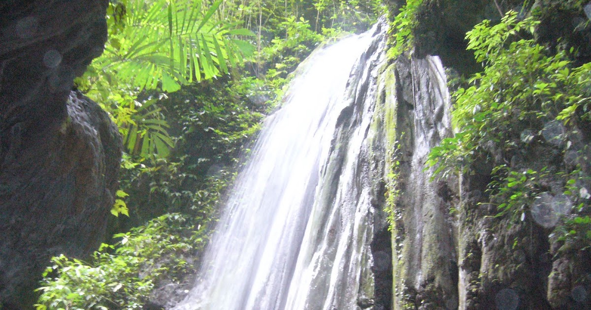 Taman Nasional Batang Gadis Sumatera Utara (Serta