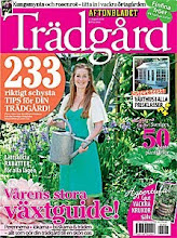 Min blogg är med i Aftonbladet Trädgård 2/4-2010