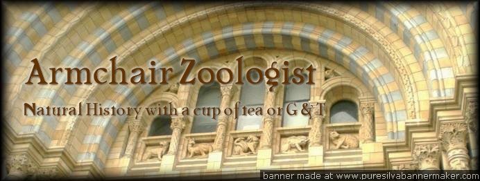 The Armchair Zoologist