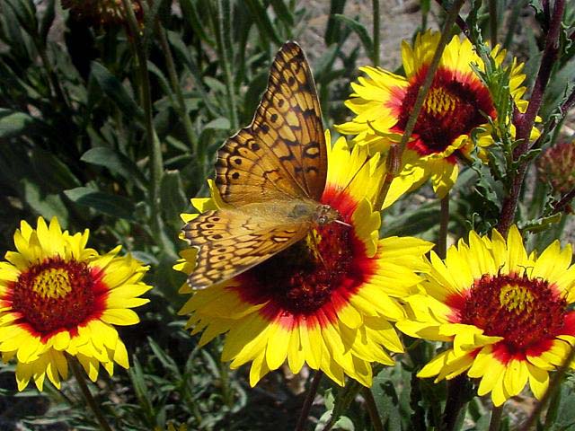 The beauty of nature gallery | BEAUTY NATURE SECRET