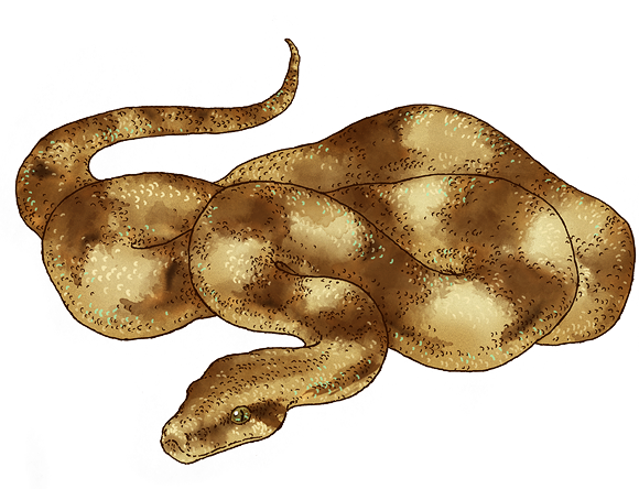 Random Colours: June 2010