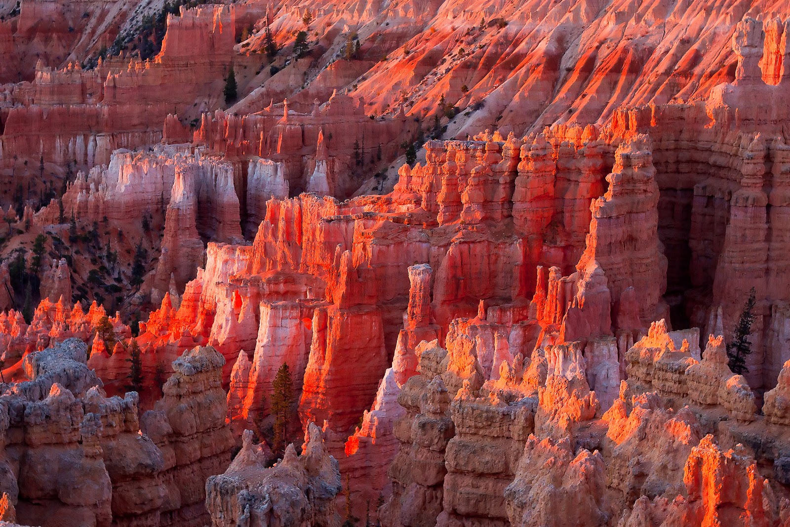 View from the Exerda Millennia on Display The Splendor of Bryce Canyon