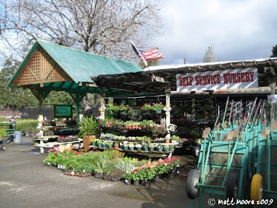 The Waspkid Diaries March 2010 This Quest Led Me To Central Whole Nursery In The Heart Of San Jose I Used Deliver Here When Was A Truck Driver And Have Been Talking Betty