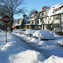 Winter in the Gardens