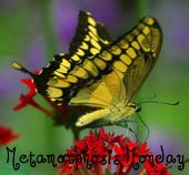 Met. Monday – Vintage Things