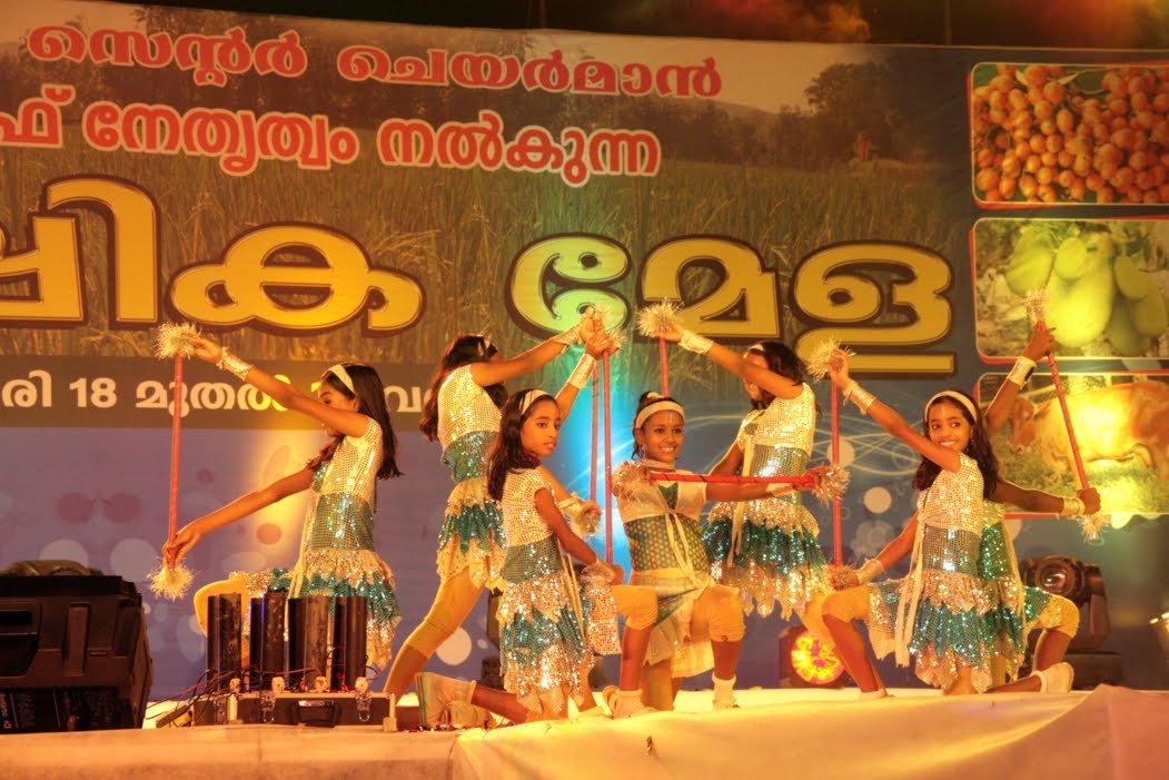 Thodupuzha Karshikamela: Karshikamela 2010, Dance Gala 19-01-2010