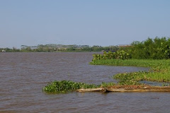 Amapá