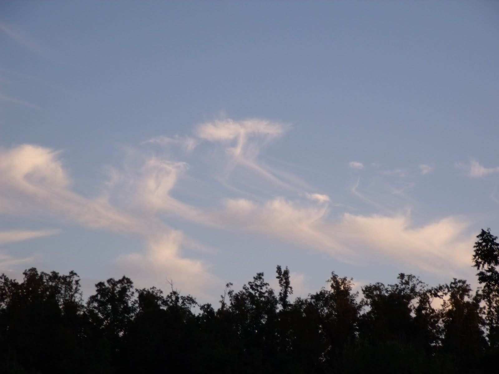 [Marcy+load+100209+013.jpg]