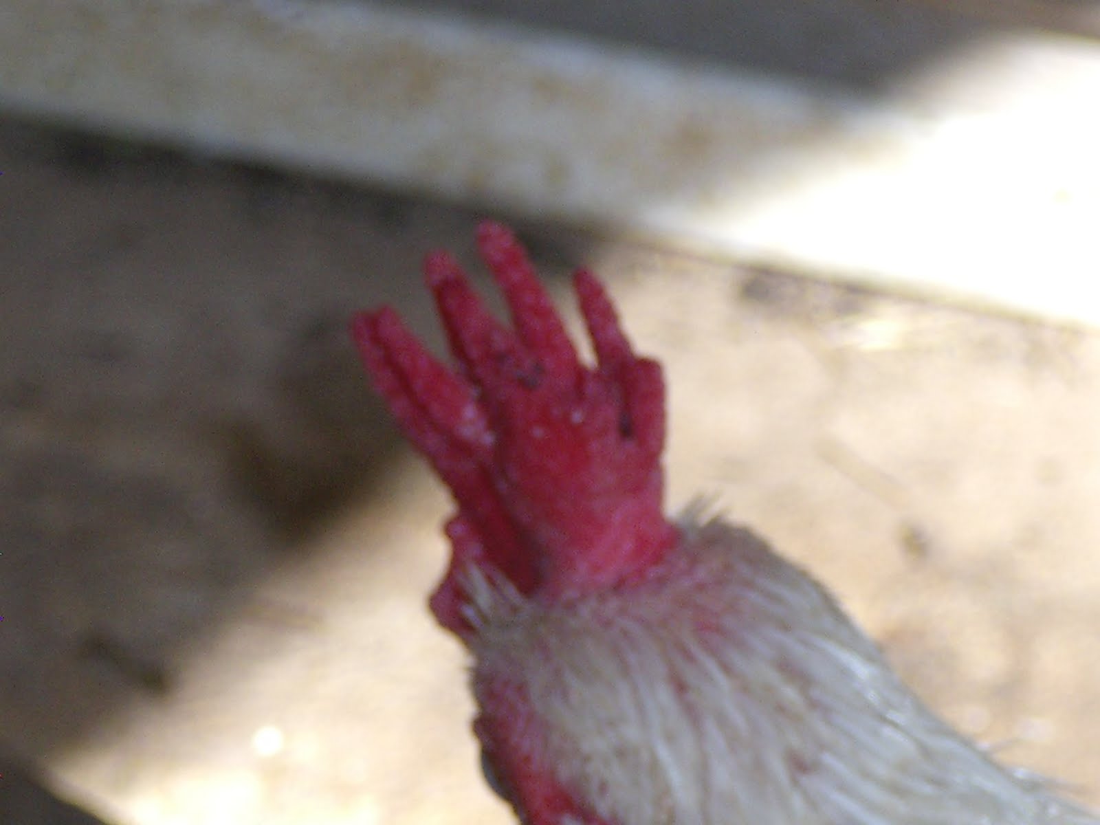 [Marcy+load+100209+126.jpg]