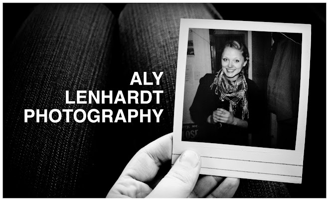 Aly Lenhardt's Blog