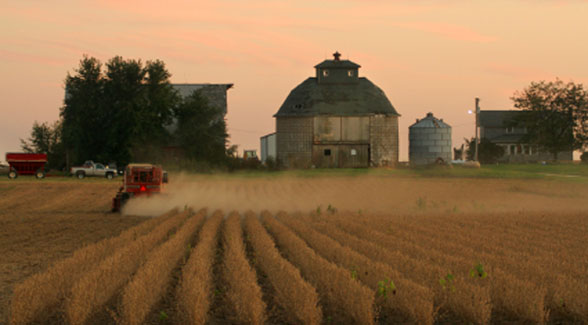 GLOBAL POLITICAL AWAKENING: Food fight over farms sell-off