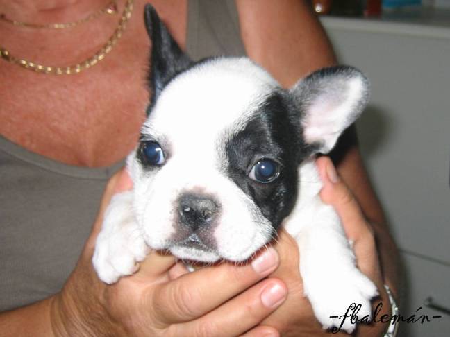 (INDICE) RELATOS DE RECUERDOS