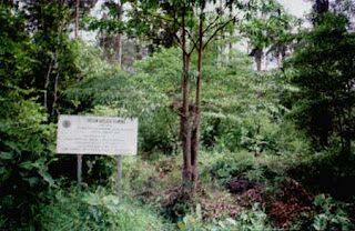 Hutan Wisata Baning ~ Bumi Nusantara