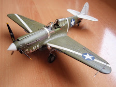 Curtiss P40-M "The Twerp"