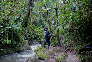 Angle Paz, Antpitta Whisperer
