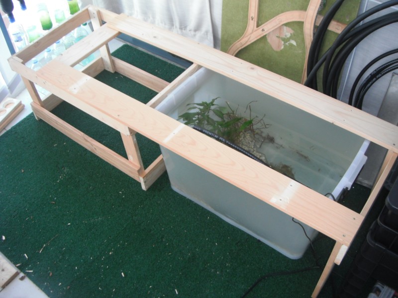 built a wood frame around the fish tank to support the grow beds ...