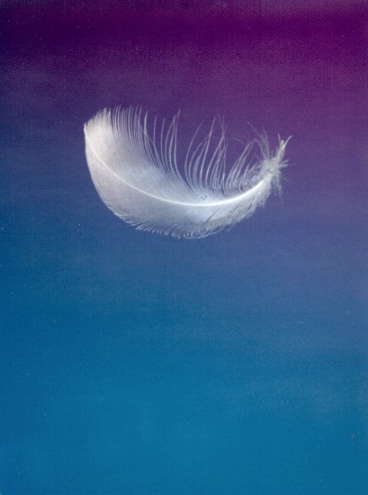 [feather.jpg]