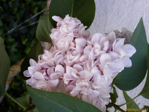 [200904121651_221.jpg]