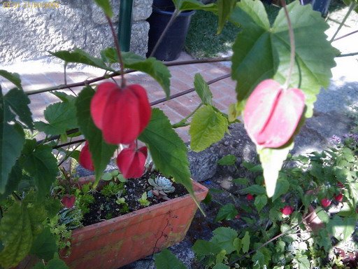 [200904121653_227.jpg]