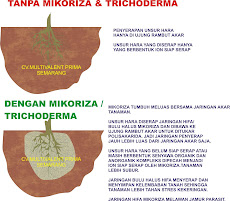 Pupuk Mikroba Penyubur Tanah