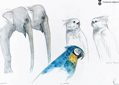 sketch of cockatoos and elephant