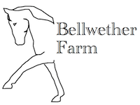 Bellwether Farm