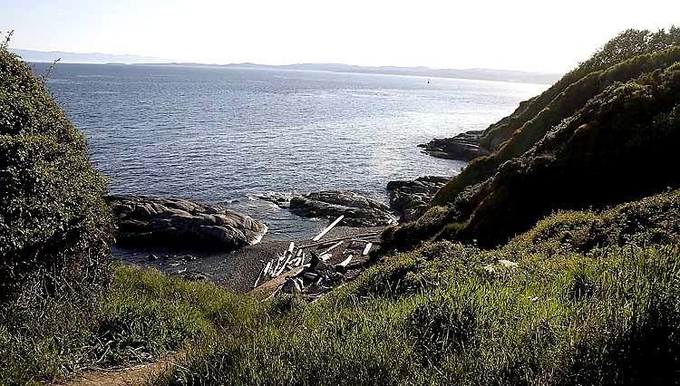 [HollandClover_0705.JPG]