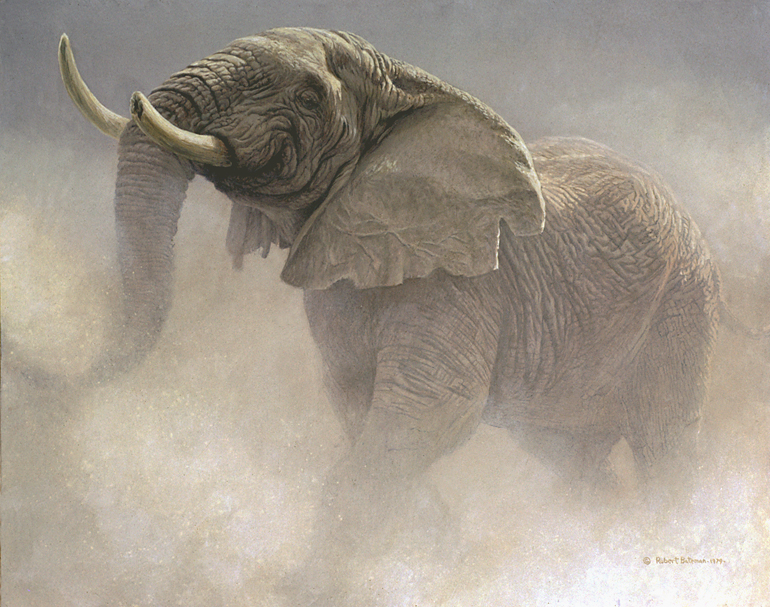 [BluffingBullAfricanElephant.jpg]