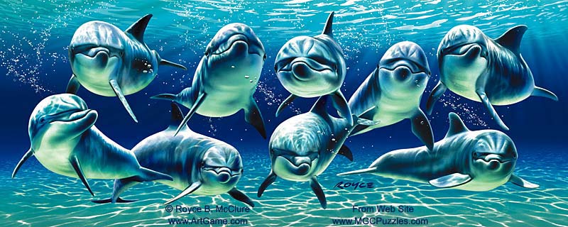 [pod_pal_dolphins_1A.jpg]