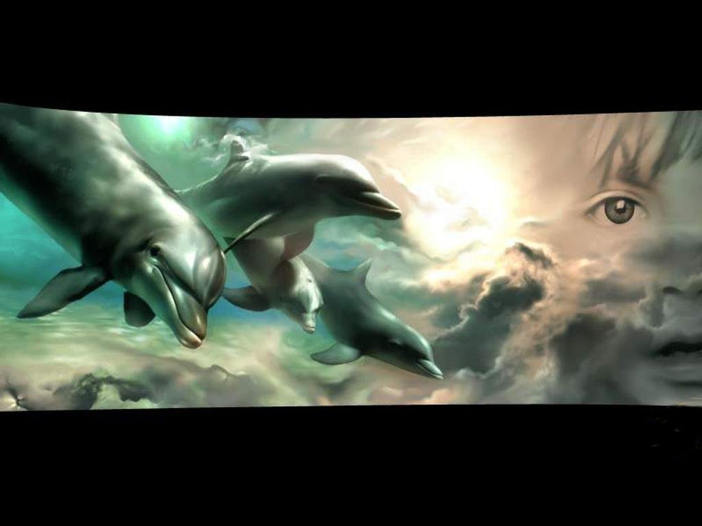 [dolphins.jpg]