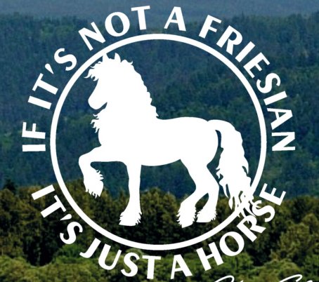 [friesian_horse_white.jpg]