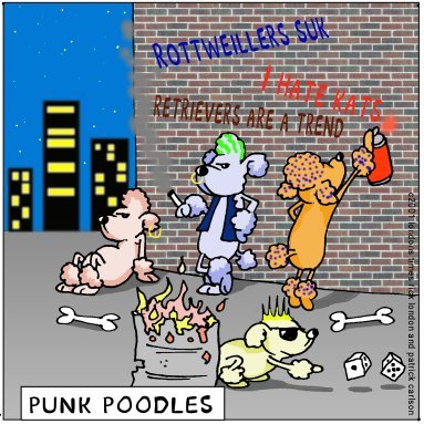 [patrick_punkpoodles.jpg]