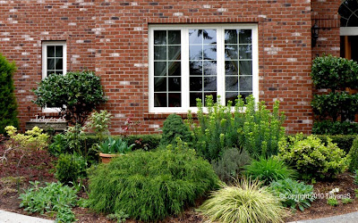MySecretGarden: Front Garden Bed. Spring 2010