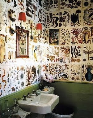 bathroom by Steven Gambrel