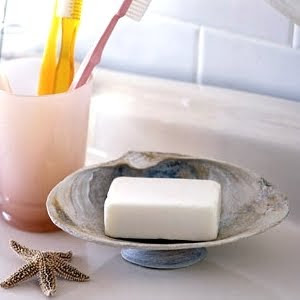 seashell soap dish
